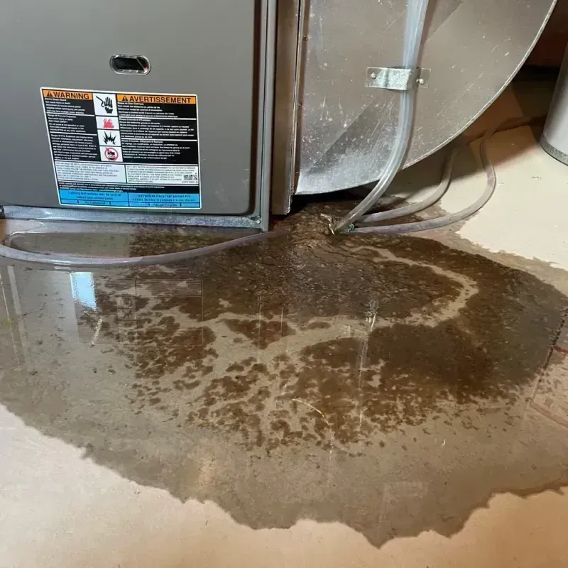 Appliance Leak Cleanup in Atwood, IL